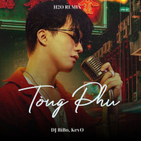 Tòng Phu (DJ Bibo Remix) (Single)