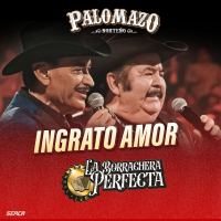 Ingrato Amor (En Vivo) (Single)