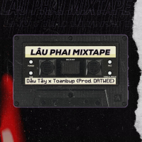 Lâu Phai Mixtape (Single)