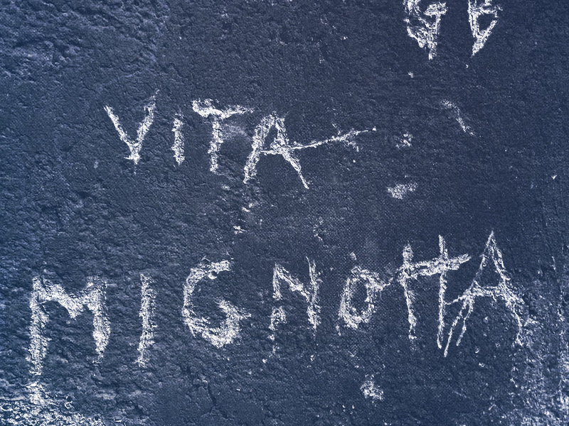 Vita Mignotta (Single)