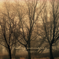 fading memories (Single)