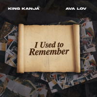 I Used to Remember (Single)