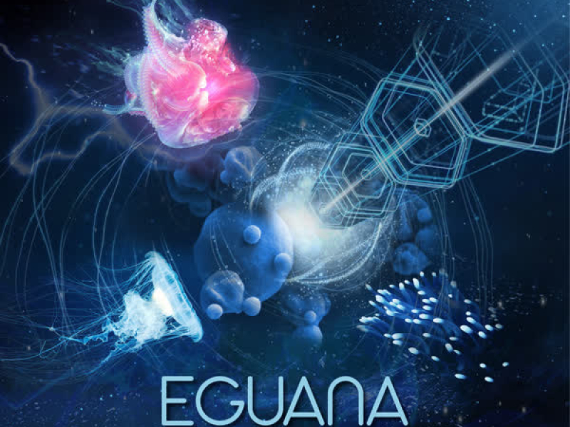 Invisible Civilization