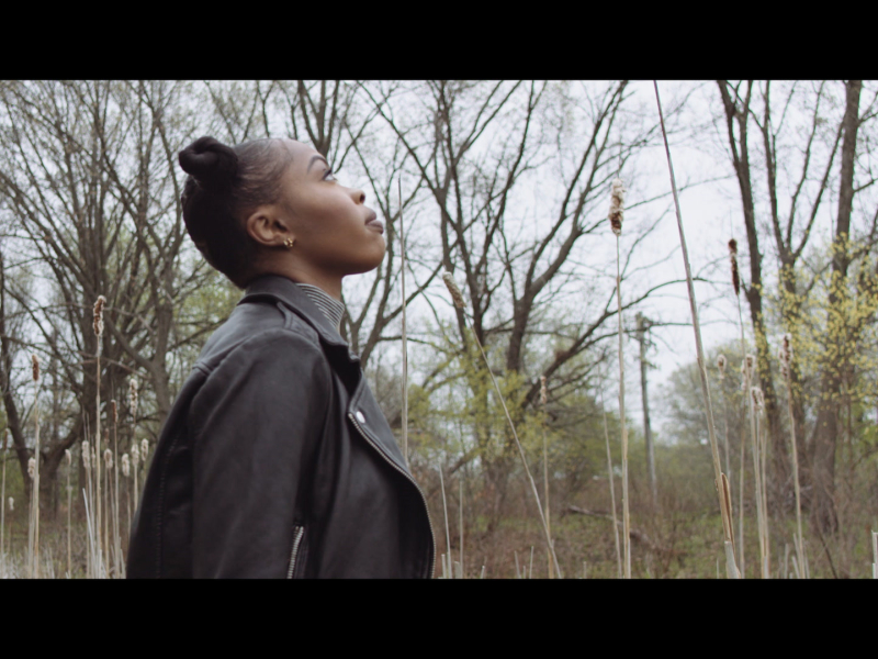 Impaired Vision (Single)