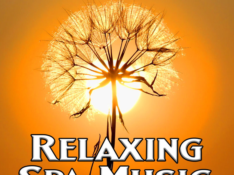 Meditation Therapy (Single)