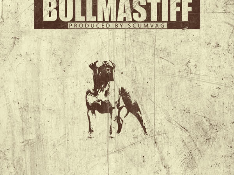 Bullmastiff (Single)