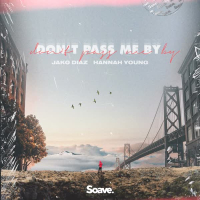 Don't Pass Me By (Single)