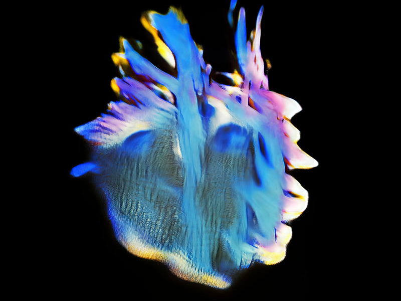 Vibration (One More Time) (Single)