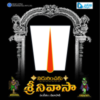 Nidhurinchaku Srinivasa