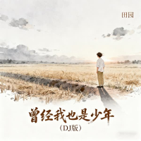曾经我也是少年 (Dj阿雨版) (Single)