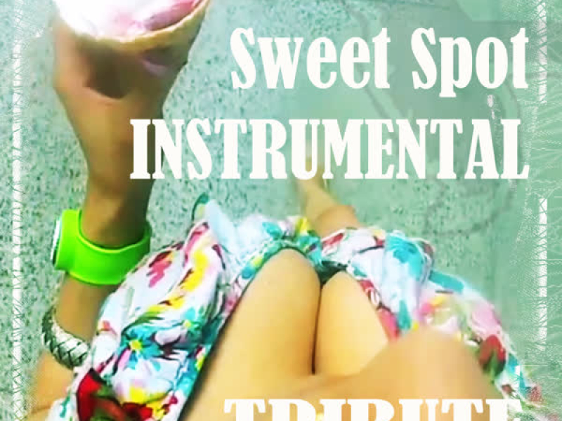 Sweet Spot (Instrumental Tribute to Flo Rida feat. Jennifer Lopez) (Single)
