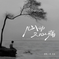 心动又心痛 (Single)