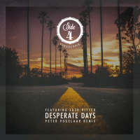 Desperate Days (Peter Vogelaar Remix) (Single)