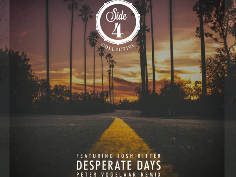 Desperate Days (Peter Vogelaar Remix) (Single)