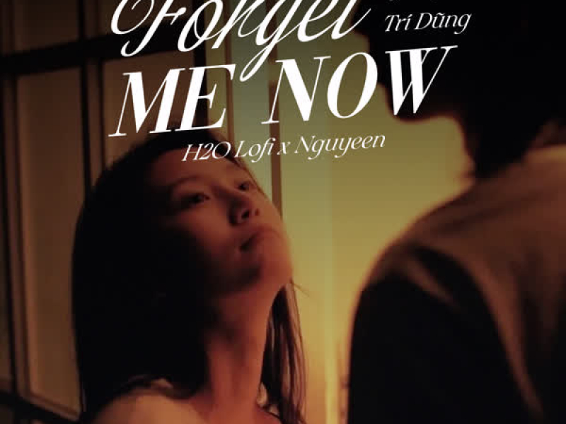 Forget Me Now (Lofi) (Single)