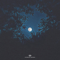 Dear Moonlight (Single)