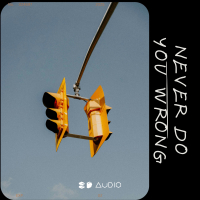 Never Do You Wrong (Single)