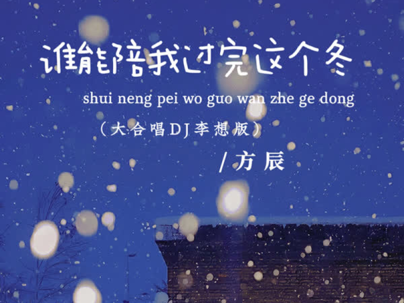 谁能陪我过完这个冬 (大合唱dj李想版) (Single)