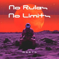 no rules no limits (Single)