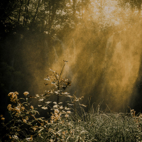 For One Another (Single)