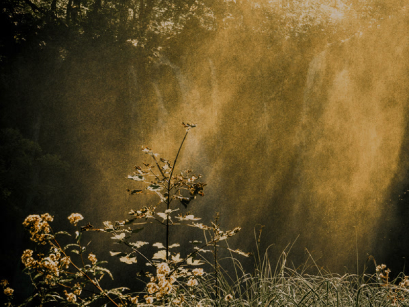 For One Another (Single)