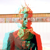 Experiment (Single)