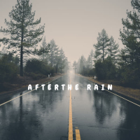 Afterthe Rain