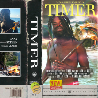 Timer (Single)