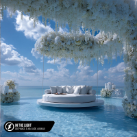 In The Light (Single)