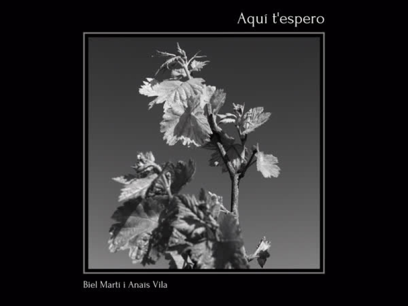 Aquí t'espero (Single)