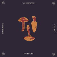 Wonderland (Single)