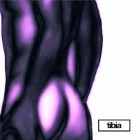 My strange house / Cover Girl (Farveblind Remix) (Single)