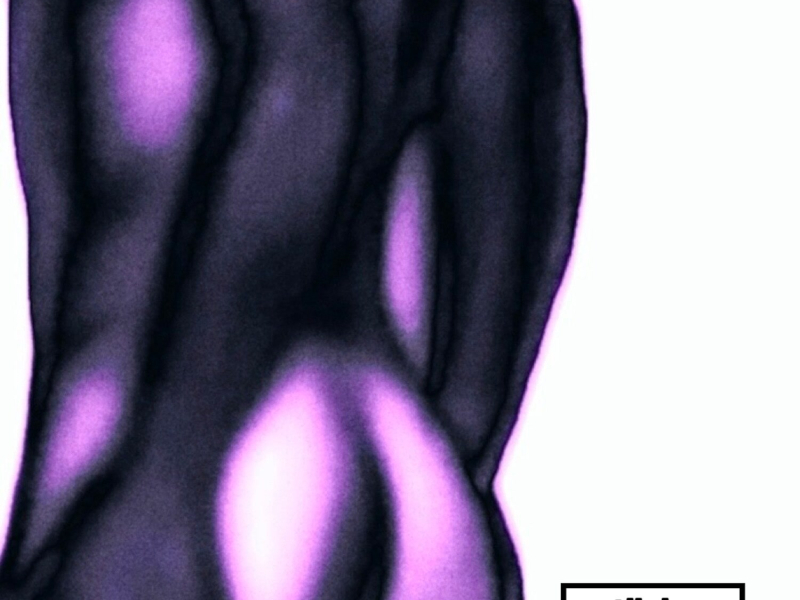 My strange house / Cover Girl (Farveblind Remix) (Single)