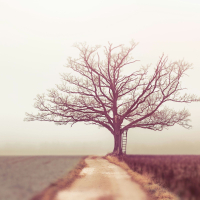 Beyond the stillness (EP)