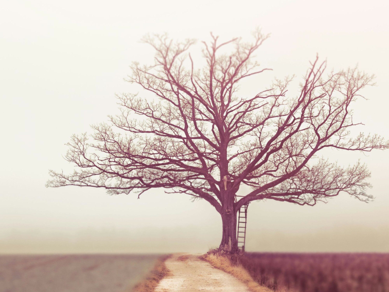 Beyond the stillness (EP)