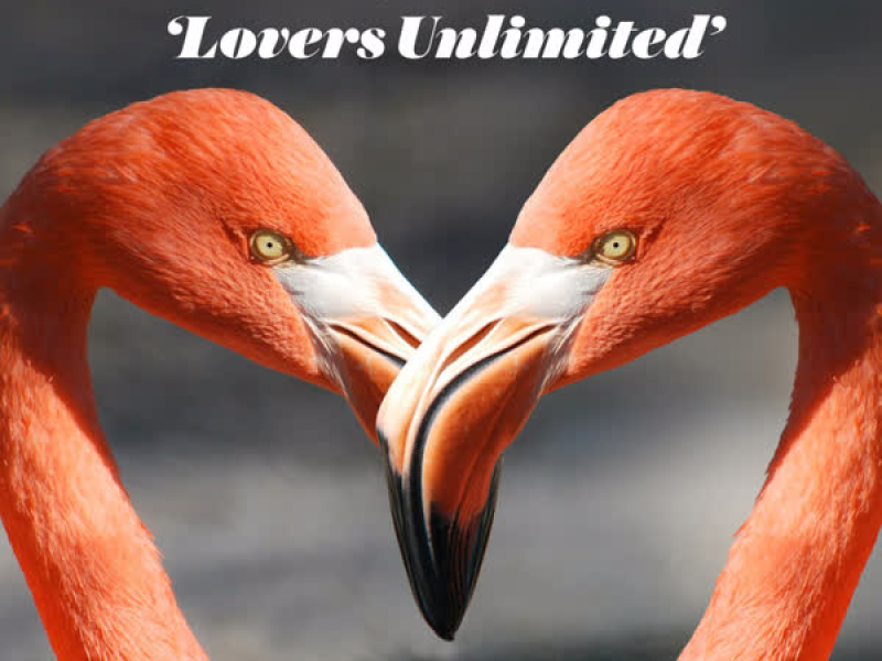 Lovers Unlimited