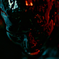 Redlight (MV) (Single)