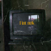 Fint Nok (Single)