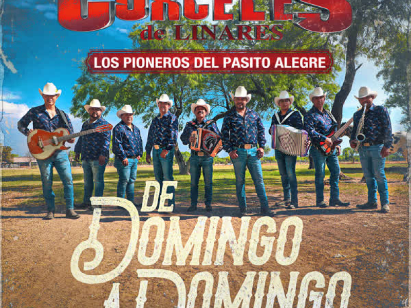 De Domingo a Domingo (Single)