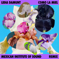 Como la Miel (Remix) (Single)