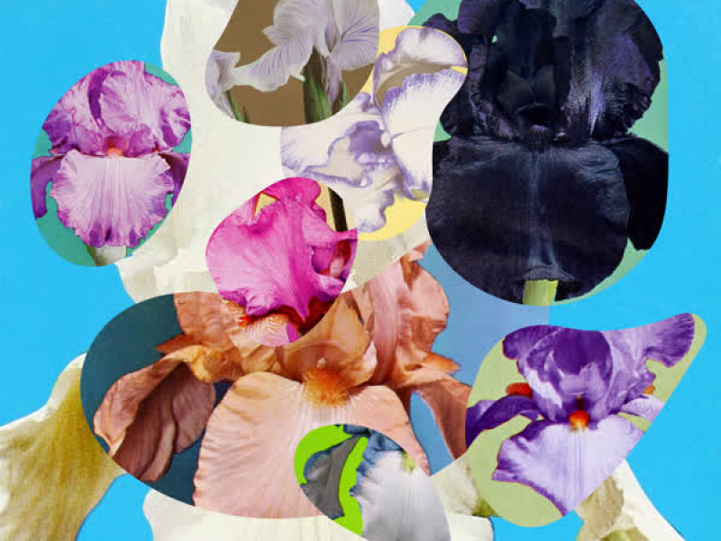 Como la Miel (Remix) (Single)