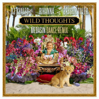 Wild Thoughts (Medasin Dance Remix) (Single)