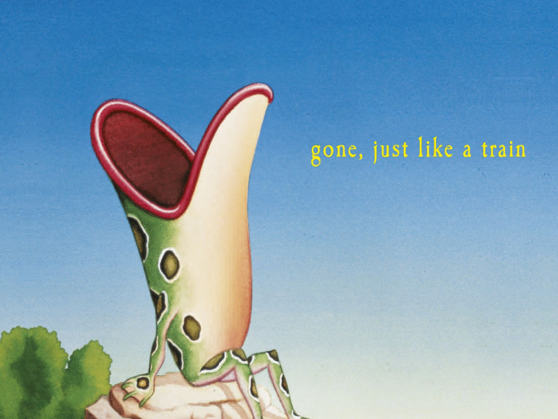 Gone, Just Like a Train (Nonesuch store edition)