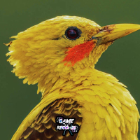 Montagem Pica Pau Amarelo (Single)