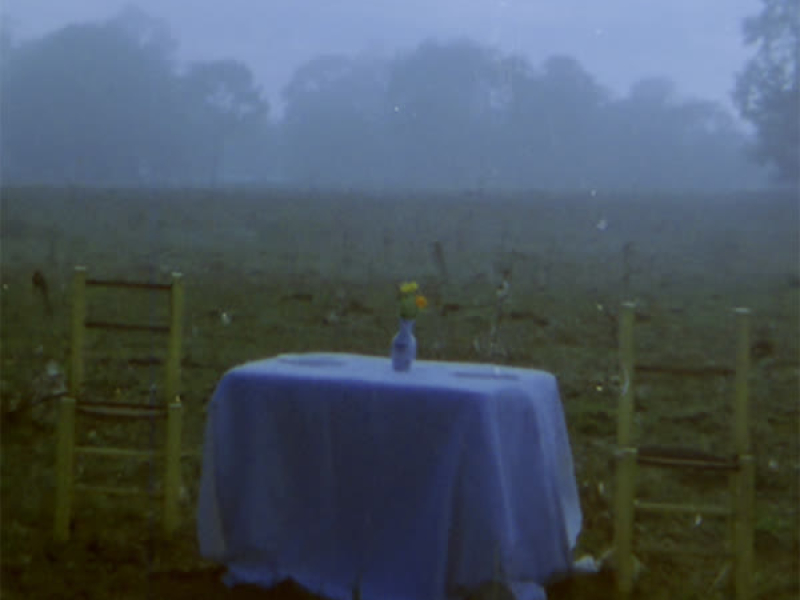 No Me Quieras Tanto (Single)