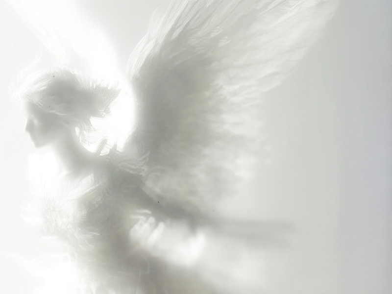 teachmehowtoloveyou (Single)