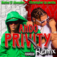 Ando Privity (Remix) (Single)