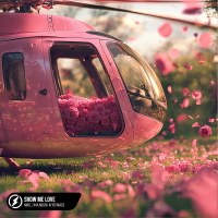 Show Me Love (Single)