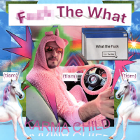 Fuck The What (TISM) (Single)