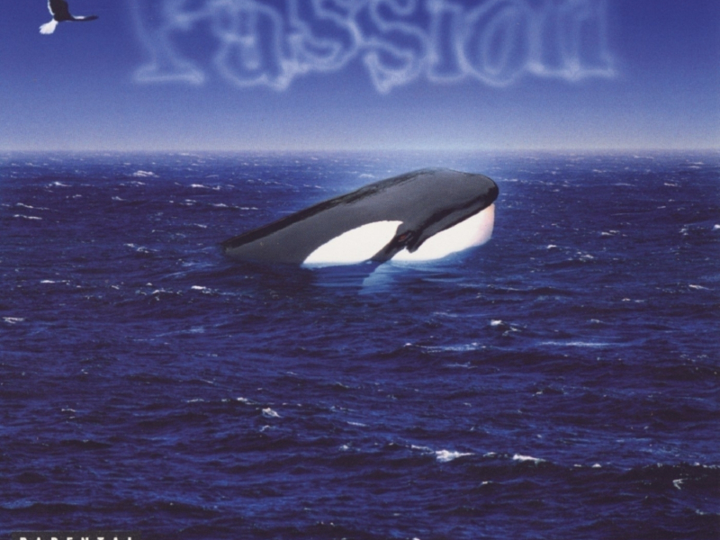 I Hate You With A Passion